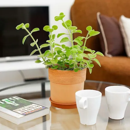 Kakowskiego By Renters Apartamento *